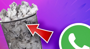 Lixeira do WhatsApp: como esvaziá-la mesmo que ela não exista