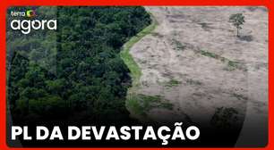 Adriana Ramos explica os riscos do PL que ameaça o licenciamento ambiental