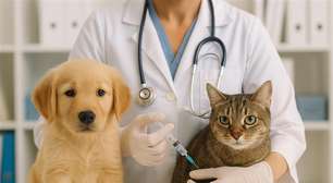 Vacinas essenciais para cães e gatos: quando e por que aplicar?