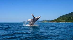 Ilhabela-SP aposta em robô caiçara em nova campanha para atrair turistas no inverno