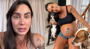 Grávida de gêmeos, influenciadora toma decisão e tira pitbulls de casa: 'Coisas perigosas...'