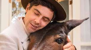 Do macaco pintor ao burro fofoqueiro: 6 amigos mais improváveis (e divertidos) das novelas brasileiras que valem mais do que muitos humanos