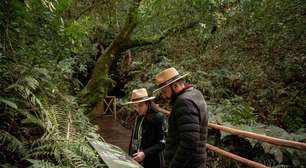 Vinícola gaúcha une vinho e paleontologia