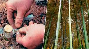 Mil anos antes da perfuração do primeiro poço de gás moderno, a China já extraía com tubos de bambu