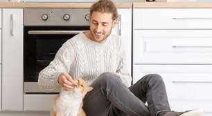 7 maneiras eficientes de chamar o gato
