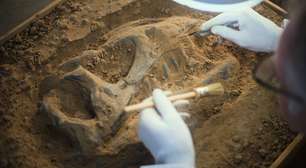 Dinossauros emitiam sons como aves? Garganta de fóssil descoberto na China aponta que sim