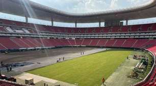 Brasil começa a cultivar grama que será usada na Copa do Mundo de 2026