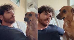 Vira-lata caramelo faz 'guarda' de tutor diabético durante crise glicêmica