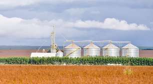 Brasil Pode se Inspirar na Nova Zelândia para Comunicar o Agronegócio