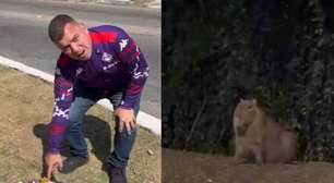 VÍDEO: Prefeito de cidade do RJ se revolta com vandalismo e descobre que ato foi feito por capivaras