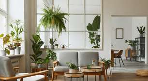 3 dicas para transformar os ambientes com plantas na decoração
