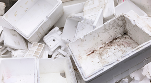 Isopor é reciclável? Onde jogar? Entenda como fazer o descarte do material
