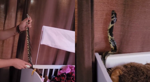 Família se assusta ao encontrar cobra em berço de bebê; veja vídeo