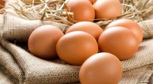 10 alimentos ricos em proteína para substituir o ovo