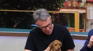 Na expectativa por aposta, Neto adota cachorro e homenageia Ferreirinha