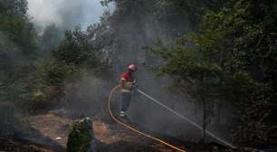 Portugal decreta alerta geral contra incêndios em meio à onda de calor extremo