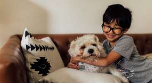 Qual é a importância dos animais de estimação para a criança?