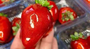 Morango do amor: consumo pode causar danos à saúde bucal; entenda