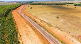Motoqueiro atacado por onça em rodovia do Mato Grosso do Sul sobrevive com arranhões