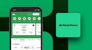 Rei do Pitaco app: aprenda a baixar o aplicativo de apostas no celular