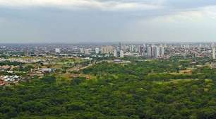 Quais cidades e estados brasileiros têm os maiores índices de arborização urbana? Você vai se surpreender