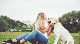 7 raças de cães de grande porte ideais para quem vive em casa com quintal