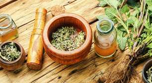 30 Plantas Medicinais e para que servem