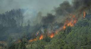 Prefeita atribui maior incêndio do verão na França à ação humana: 'irresponsabilidade das pessoas'