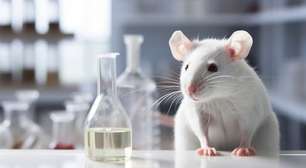 Proibição de testes cosméticos em animais é um avanço ético e de responsabilidade científica no Brasil