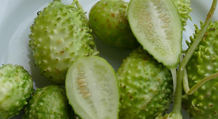 O vegetal mais esquecido é um dos mais poderosos: conheça os benefícios do maxixe e como cozinhar