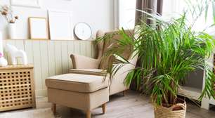 Feng Shui: como decorar com plantas e flores para chamar a sorte