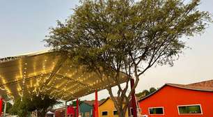 Festival Goiás Gastronomia encerra programação neste fim de semana em Goiânia