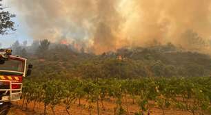Incêndio 'apocalíptico' que atingiu o sul da França é controlado, mas danos ainda são incalculáveis