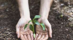 Projeto Viver Territórios promove workshops gratuitos