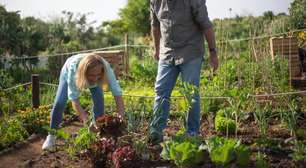 Agricultores familiares do RS receberão bônus no Pronaf por produtos com preços abaixo do mínimo