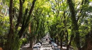 Túnel Verde escondido em Porto Alegre que está virando famoso no Mundo