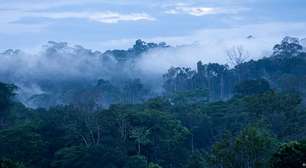 Akakor: a lenda da cidade perdida na Amazônia