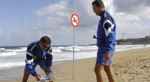 Invasão de águas-vivas paralisa maior usina nuclear e fecha praias na França