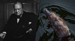 Em 1943, a Austrália enviou a Winston Churchill um ornitorrinco que morreu durante a viagem; só agora, 82 anos depois, sabemos o motivo