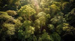 Belém sedia seminário sobre turismo regenerativo na Amazônia