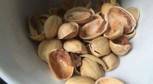 Se você tem cascas de pistache em casa, tem um tesouro: elas podem melhorar a vida das suas plantas