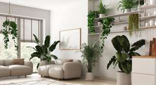 5 dicas para incorporar a biofilia na decoração