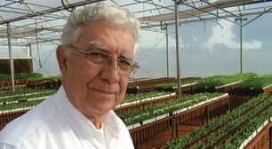 Quem é o 'pai da soja' e como ele ajudou o Brasil a se tornar o maior produtor e exportador do mundo