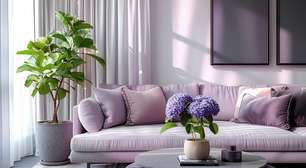 Você conhece o poder das nove curas do feng shui?