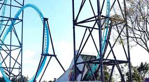 Dia da Montanha-Russa: veja recordes na América do Sul