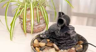 Feng shui: 6 acessórios poderosos para harmonizar sua casa