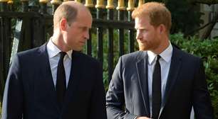 Rompimento de William e Harry: astróloga aponta o que separa os irmãos da realeza