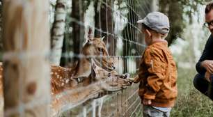 São Paulo: onde ir com as crianças nas férias de dezembro