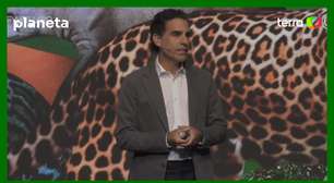 CEO da Vivo anuncia que empresa fará regeneração e conservação de área na Amazônia por 30 anos