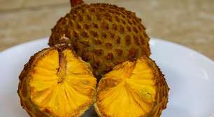 Nem jaca, nem graviola: essa fruta do Cerrado é rica em vitamina C, repleta de antioxidantes e até Patrimônio Cultural
